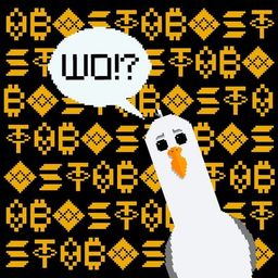Coin image for DLyMWnBfL1WKWsK2oaqMBGTTrkeSGofD4Nitycp6KCS7