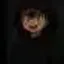 Coin image for DNGC4YVifcvqGbPiNy9RddP6iS8eZpQ9WwAvJVFVpump