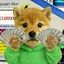 Coin image for DNfujQEw9ZZLLQyuNPMoW9dCrhHjkTtD32hLXjaNpump