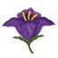 Coin image for DQXDGDUDGjWZQDmpA8FGTTfnf1jD5Nh8kKkbX6q2pump