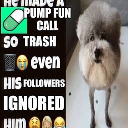 Coin image for DRPRV4PneEF9VbLAwMnuDxNBSwtdd1siYgq7Gvoopump