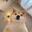 Coin image for DRroVs9EAt2SNbYAQdMgpT3StjZexGNKY9F7y5qhpump