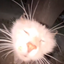 Coin image for DS1o8fQizyS7U8cBg8P2kGsrAtfuhmCDZFzEcVUMpump