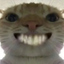 Coin image for DSRNjJEeB4MFNYoAmgkhLQPe2gP4DbfaLzn5qpsTDyo6
