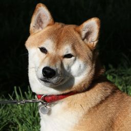 Coin image for DSs9iAsEBxqMgS3i6z7b7GKJvFadDcJAwuuJ2DGNpump