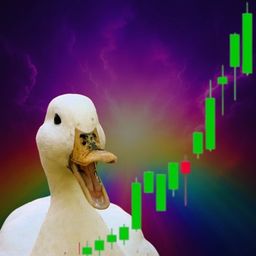 Coin image for DSy6fdMnGiJtguNbBAXsFPSDLt6ioRmcHGuh2Tdhpump
