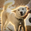 Coin image for DTZvktfF3VMzS3GFAn57e8D2ji74wp465ZWKGfVWpump