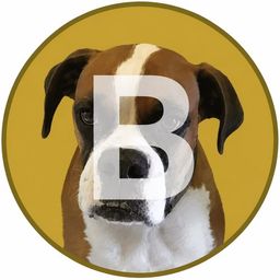 Coin image for DTdDsWkaXimkyMQgr6mKTiTfsuFQBM6dHS478N6Apump