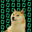 Coin image for DUp2qMMGuACziKeyZRtH9cuKyqtYpqJ24iZg6tVLpump