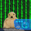 Coin image for DVHVxoLbWarCibwmpaJ52wJMZsXmkLvssjTijUcGpump