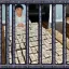 Coin image for DVR9Fc9ZZXb8ShMQ4yELQr7NsaF97DMN4MJWCM5APB7i