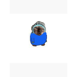 Coin image for DWxTrKvRGTffBbezDoVgAEP3EcpeDMg64icvuYjVpump