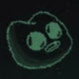 Coin image for DWyedZphVsfbJTXZTUPQ4y2N5GRB9piVgBCspYmDpump