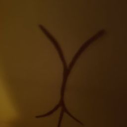 Coin image for DXCupGgL4gTs5dnzH2JRtgRGZRWKHGfd7C3DoSyQpump