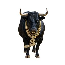 Coin image for DY4n6WVQ43ChQkFMk1FJbBPrtUqxeozN6FTHQzcppump