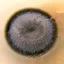Coin image for DY8GoEjHwopG7Aj2ASEcunBhnB5j94KTbvorQQarpump