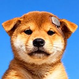 Coin image for DZeGg1HAHGxQXWJAFb3iqGnJda66bLWaQcN8JCx6pump
