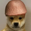 Coin image for DaJBrHWJjQ1CUpXJXrzSmFz2656GiTdYXBNAERAfpump