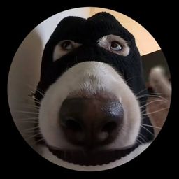 Coin image for Db1bUUvpRRashYnknjQRtVYDBcskEkeqttCwZfGLpump