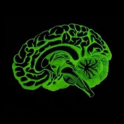 Coin image for Db4LTL7coimHjn2e1ybAxPgWhjWTsoqkXB7z3pWbpump