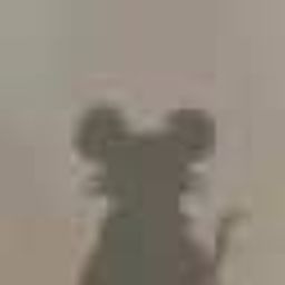 Coin image for DbCDge3YrEcrexMm5iiYpyzRP9TGyvZNcKvgnhAze9i3