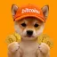Coin image for DbsbwgEqNo7b6FfV1ifEHAGkkoVoEkZzU2P8Rgefpump