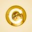 Coin image for DbvoiNEWHMajL6gU1kwXVCt8Dns91pgWvfxxRHPKpump