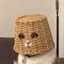 Coin image for DdjDE8NPmzzik5nCzXonjqr3qfwyDbFLCURRJBCZdcJk