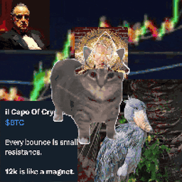 Coin image for Df76cSEEfGS9kbwynAm17P8kmSUddnwHWJenbDDQpump