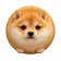 Coin image for DfBJCoLnaF75GaKPWB4c3TFyMHcXmAShiuWm3dHNpump