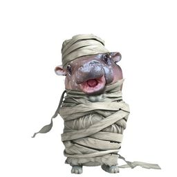 Coin image for DfkWqabkREUN6qWoSmtXSnFpXEmujScQgyaKUTVupump
