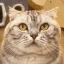 Coin image for DfouEZZ6gPbgLVGwMt4GRuc6yiCWp6PiZrYhhhNEpump
