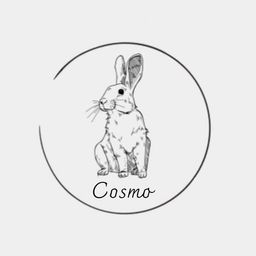 Coin image for DfvrSAH5LMsJ9A8SCxEeFzaSGpGARhj6c5XTonLJpump