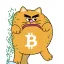 Coin image for DgpucusLG8JrC3Ri1p2byDjsyN79HM5M4xZHpf4mQL4K