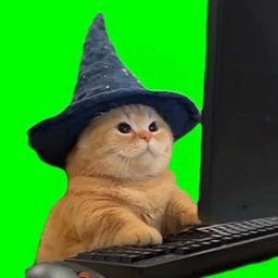 Coin image for DiXJsB98K2xS19uT8MFbRc58K11NoCULjAZ5NmHpump
