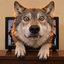 Coin image for DjDPyP4DwDx2joq7agiiz64huKw3kh7FkRmEv6Rpump