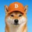 Coin image for DjZ2HWC6JQKXzx28ZEpV237UFGkYcWFzRx8H7atPpump