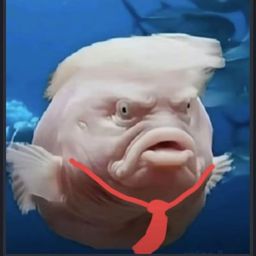 Coin image for DkAAVhttDBtRabcpEmNUHynsgkWaswTXzQCUJ28pump