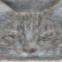 Coin image for DkEDnuYw5d9pCToButnhsPWkeE7RCiRn8ydqszQppump