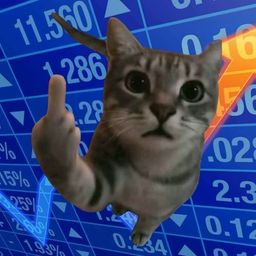Coin image for DkeK2SXqnFNPVZtjchMXHppkReCTuAYadY6qYGaUpump