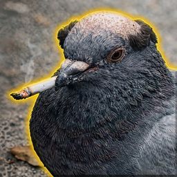 Coin image for DmLdymgjHVjsSQuCMw21Scfnm2qVyfthKEfnQb4spump