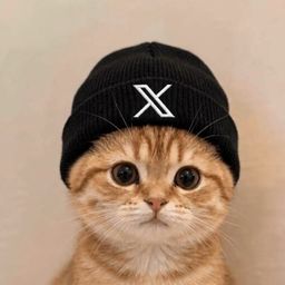 Coin image for DnEXdXeodvyHof4TAuLvV52Rov2u8SyWFFtNeencpump