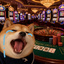 Coin image for DnGPrGAWPcu2ebCAHYtq1DECtfXhX5yUUU8AkEgSpump