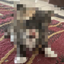Coin image for DnMiTkjbrEvTyQBhUggfN2R9zYT9Sew7eW7eVG3AhAef