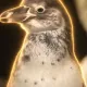 Coin image for DnTUL8RDHGmdGHYWa6baX2vKJPky4PwAfdYyjK5upump