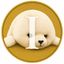 Coin image for DnY4qJ3bdQWams5Mn9AYv2sJDi7kuc8xsJsXUpX2pump