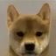 Coin image for DnYFzMsXf9cKeqmdVwUSKTRYHy5nhJEDw5U2etW4pump