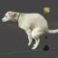 Coin image for DoGWke6EzTyK664y4YqQDWqCWAsY56xedG7C6cvWshit