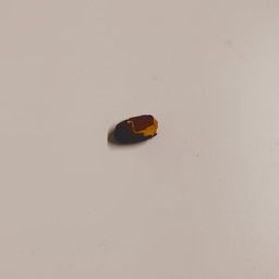 Coin image for DocBE4bRTBDca9N8N1t1dM5MtGz2hdKz7HbuLPubpump