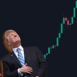 Coin image for DpkNJ4LdMNL6eGuvjT7yGwer1r1D14m5srzeZMyUpump